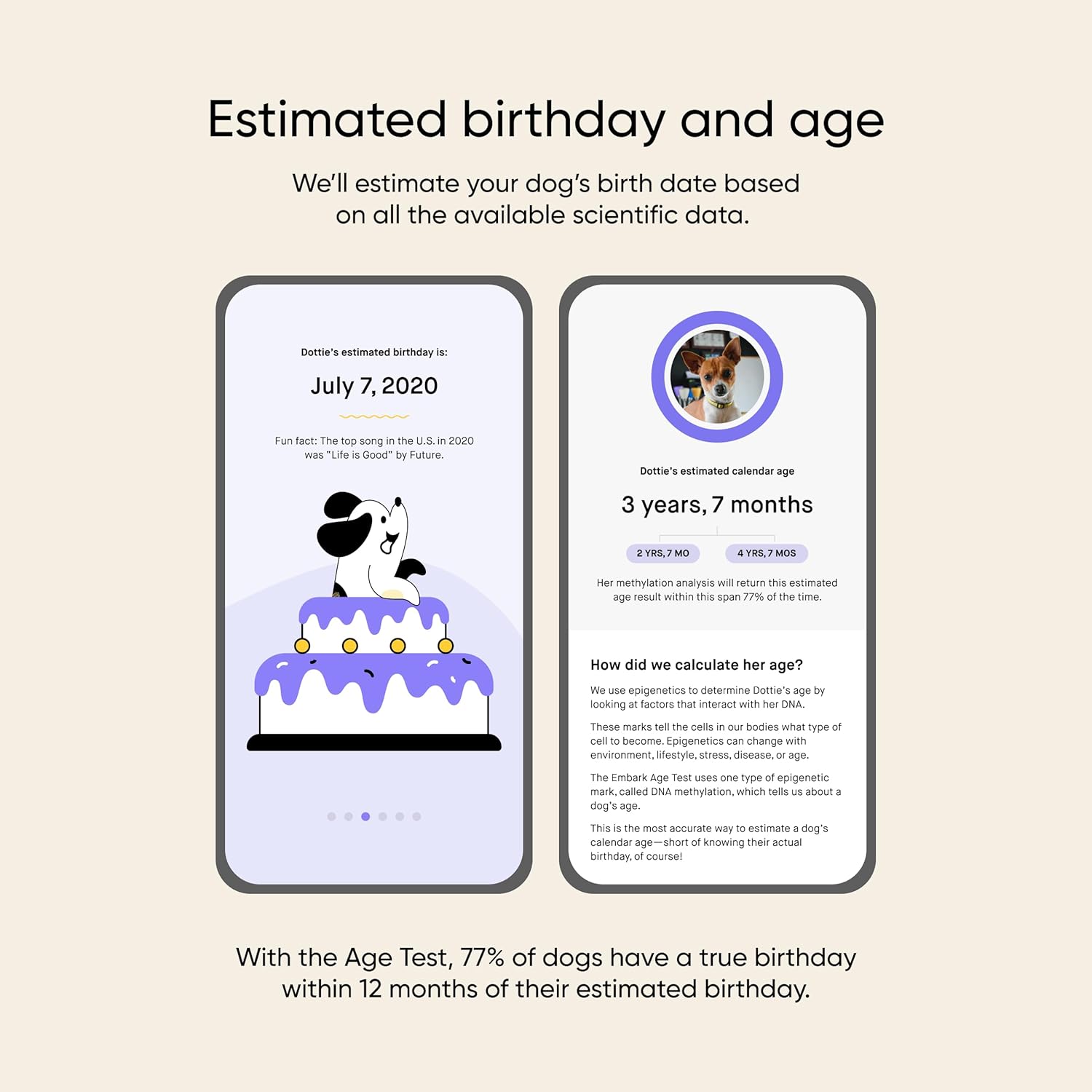 Dog DNA Test & Age Test Bundle N2336