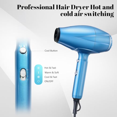 Professional Hair Dryer with Diffuser and Concentrator Nozzle R446