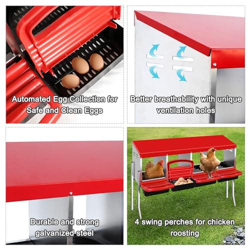 4 Compartment Chicken Nesting Box with Egg Collection Perch B595
