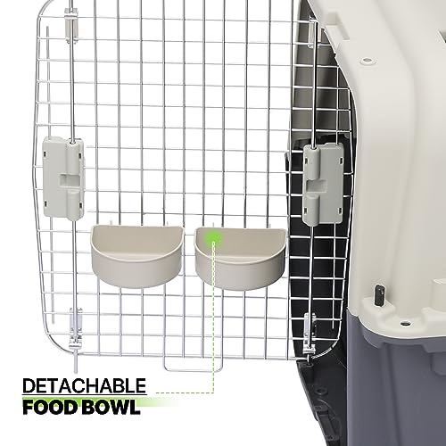 Plastic Pet Carrier, 22-Inch Hard-Sided Kennel for Small Dogs and Cats H410