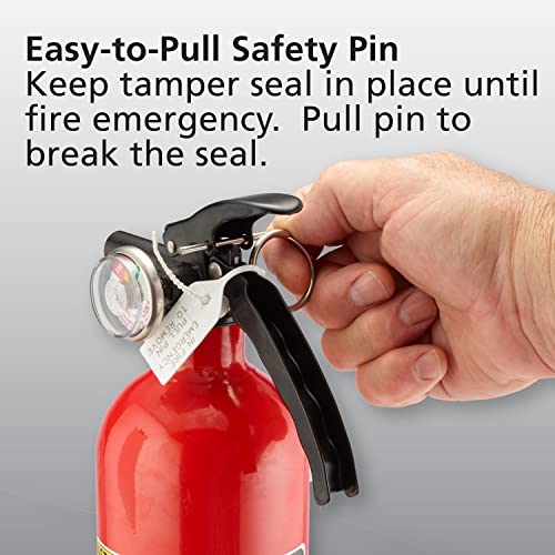 Fire Extinguisher 1A10BC, Red T2578