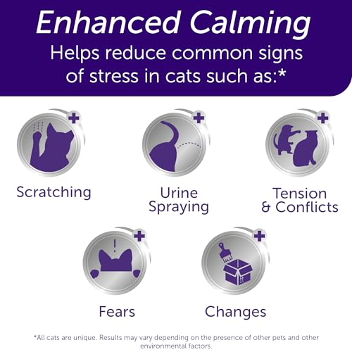 Calming Pheromone Diffuser for Cats, 30 Day Starter Kit N984