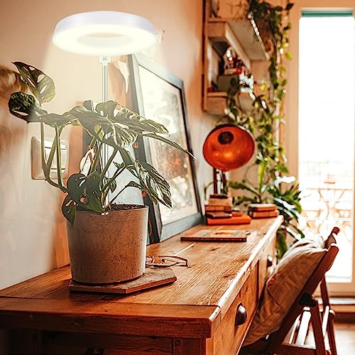 Grow Light for Indoor Plants, Full Spectrum Halo Lamp with Timer D86389