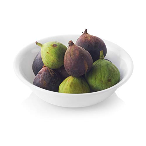10-Ounce Dessert Bowl, Winter Frost White F2572