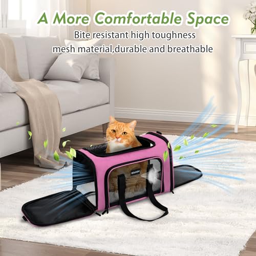 Large Cat Carrier for Small to Medium Dogs, Soft Sided Folding Travel Pet Carrier S9033
