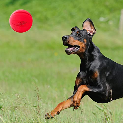 Rubber Dog Toy Ball with Squeaker, 4 Inch, for Medium/Large Breeds M57003