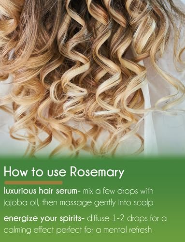 Rosemary Essential Oil 16 fl oz, Pure & Uncut, Aluminum Bottle M11502