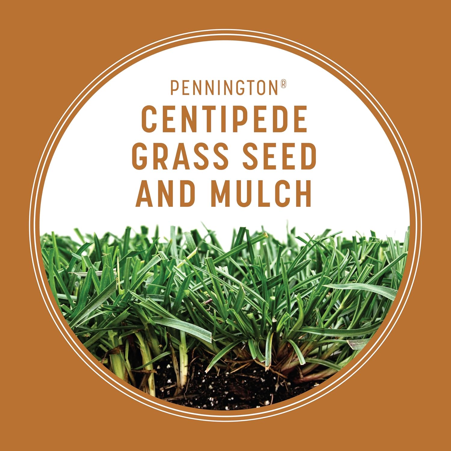Centipede Grass Seed & Mulch 5 LB M4553