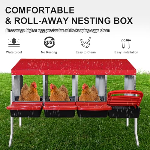 4 Compartment Chicken Nesting Box with Egg Collection Perch B595