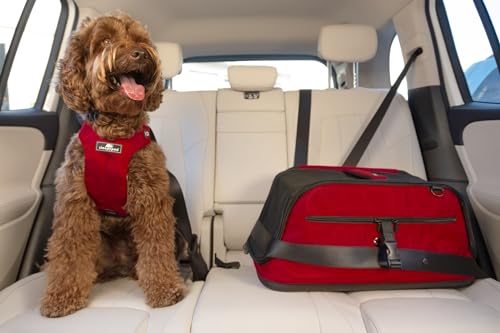 Airline Approved Pet Carrier and Crash-Tested Car Seat for Cats and Dogs up to 18 lbs T91824