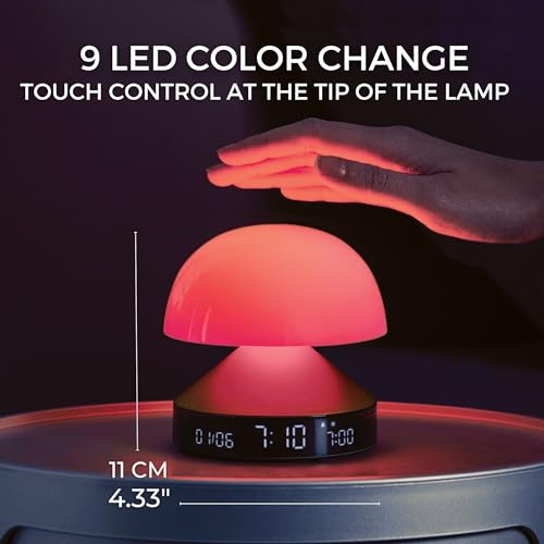 Sunrise Alarm Clock with Wake Up Light and Sunset Lamp D4313