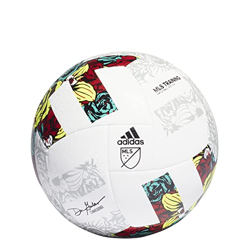 Training Soccer Ball Z392609