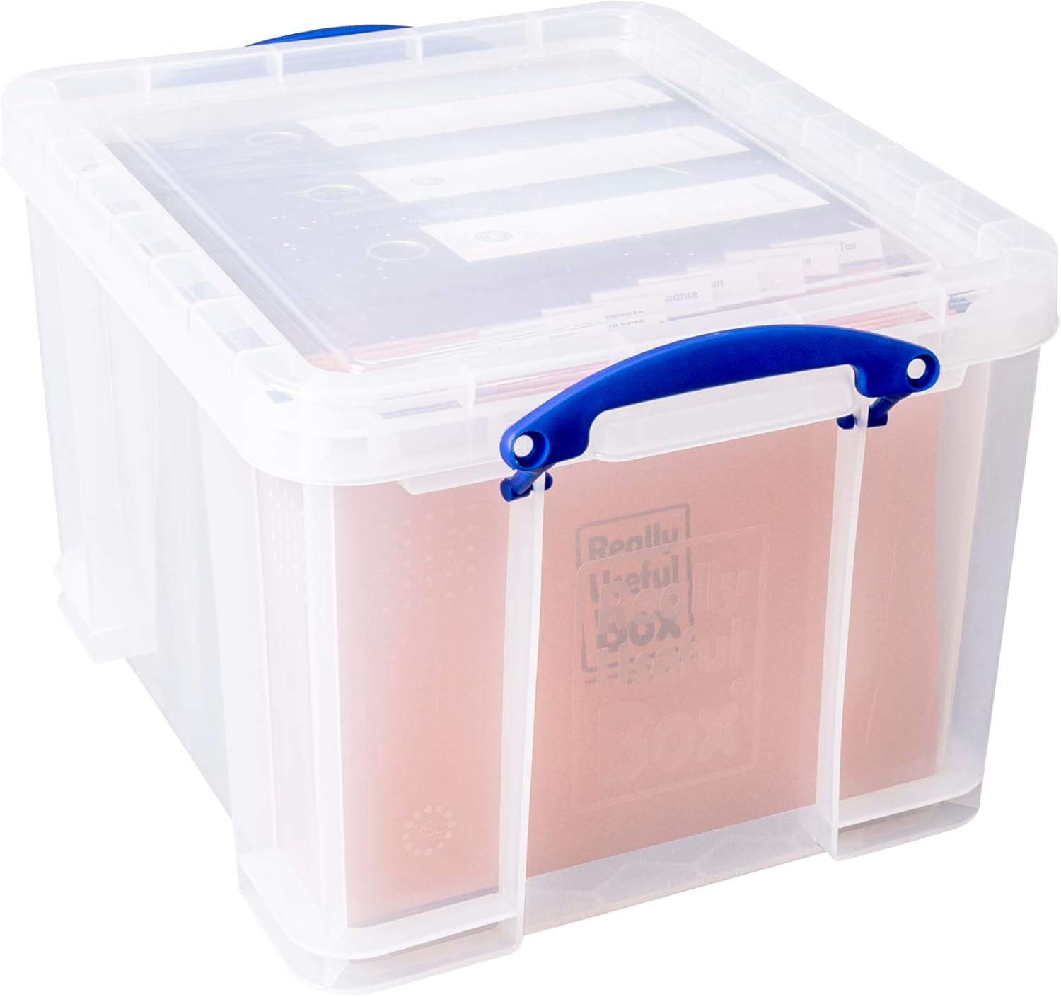 Storage Box 35 Litre Clear with 2 Dividers U335