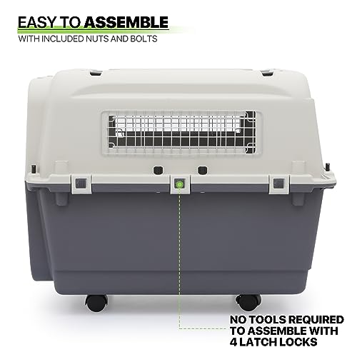 Plastic Pet Carrier, 22-Inch Hard-Sided Kennel for Small Dogs and Cats H410