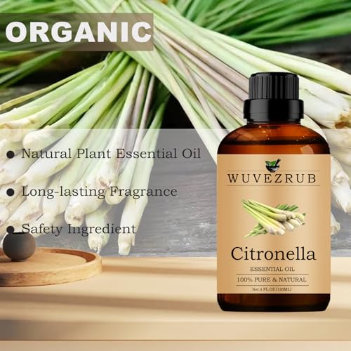 Rosemary Essential Oil for Aromatherapy Diffuser, 30ml C8226