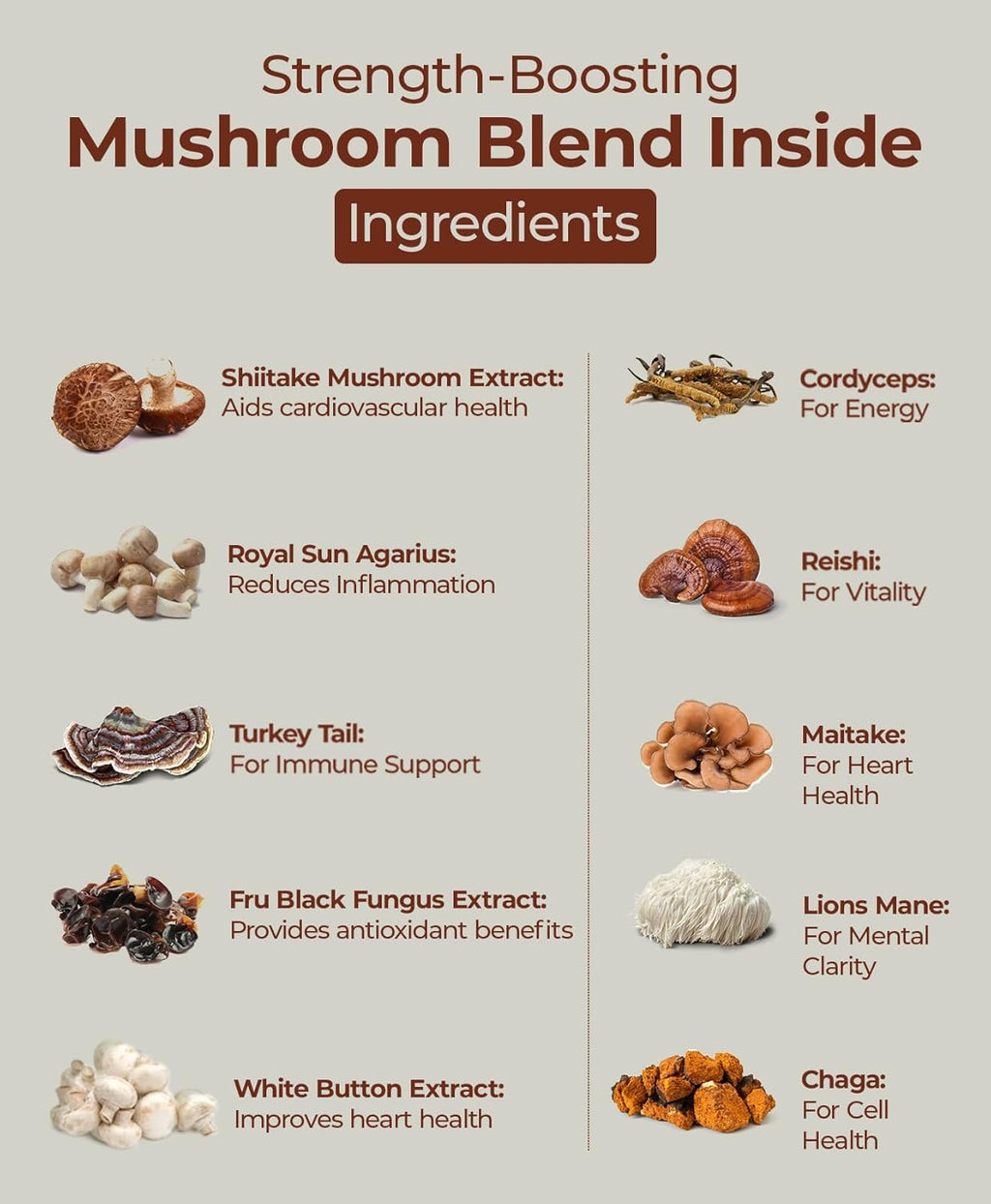 Mushroom Complex 60 Vegan Capsules for Immune & Cognitive Support T499555