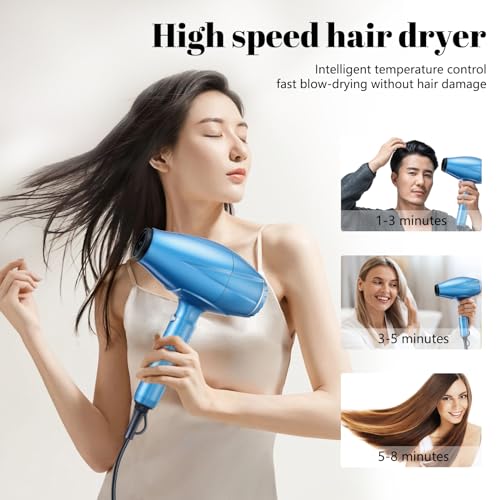 Professional Hair Dryer with Diffuser and Concentrator Nozzle R446