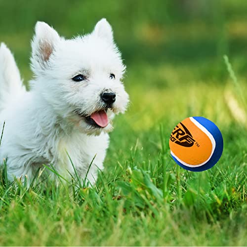 Dog Tennis Ball Toy with Squeaker, 2.5 Inches, 3 Pack Y88390