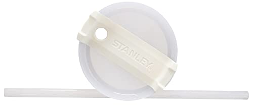 Insulated Stainless Steel Tumbler with Lid and Straw P667971