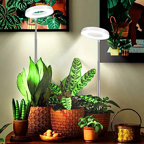 Grow Light for Indoor Plants, Full Spectrum Halo Lamp with Timer D86389