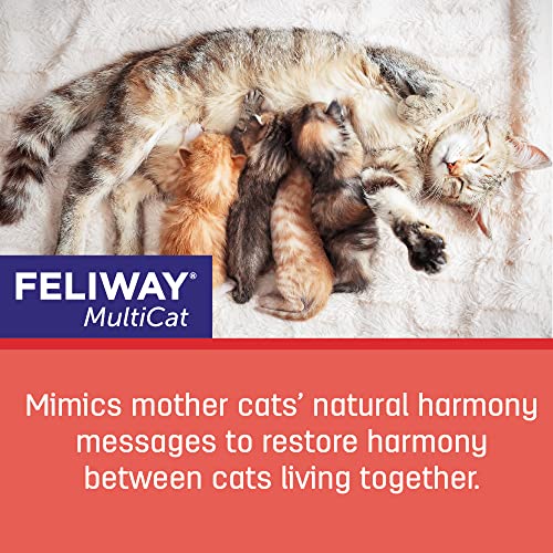 Cat Calming Pheromone Diffuser, 30 Day Starter Kit C939597