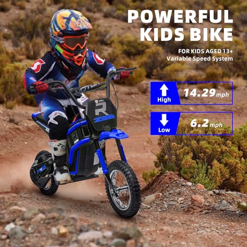 Kids Electric Dirt Bike 350W Motor 12in Tires Pink R7720