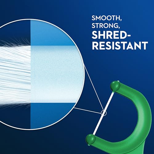Dental Floss Picks, Mint, 450 Count N470