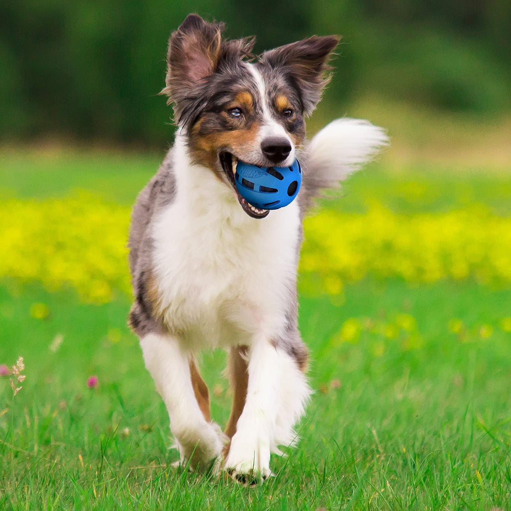 Rubber Ball Dog Toy for Medium/Large Dogs X991