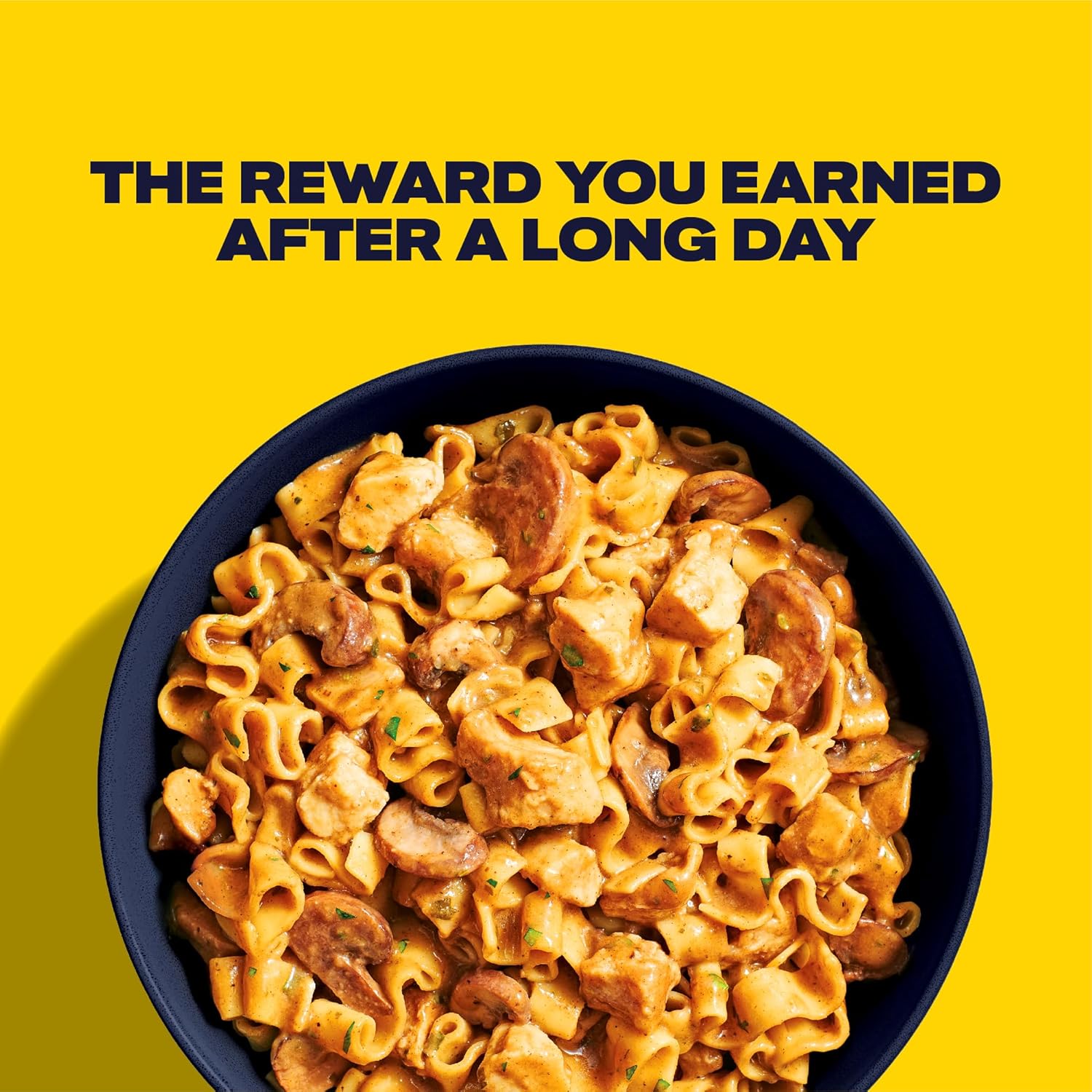 Freeze Dried Chicken Mushroom Marsala with Noodles for Backpacking U3714