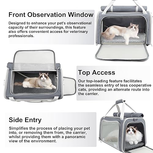 Large Soft Cat Carrier for Two Cats, Collapsible Travel Bag W22744