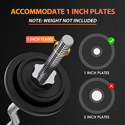 47" Curl Bar for Hip Thrusts, Squats, Lunges, 1-inch Plates, with 2 Star Collars B235924