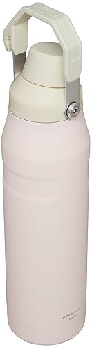 Insulated Stainless Steel Water Bottle with Angled Spout Lid F856247