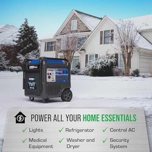 9,500-Watt Dual Fuel Digital Inverter Portable Generator P202