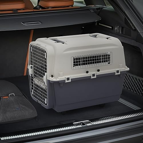 Plastic Pet Carrier, 22-Inch Hard-Sided Kennel for Small Dogs and Cats H410