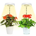 Juhefa Grow Light for Indoor Plants Growing, 4000K White Full Spectrum Halo Plant Lamp for Seedlings Succulents Small Mini Plants, Auto On Off Timer 4/8/12/18Hrs & 3 Colors Changeable