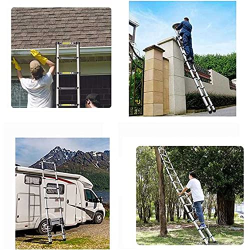 Aluminum Extendable Ladder, 330 lbs Capacity, 10.5FT G2469