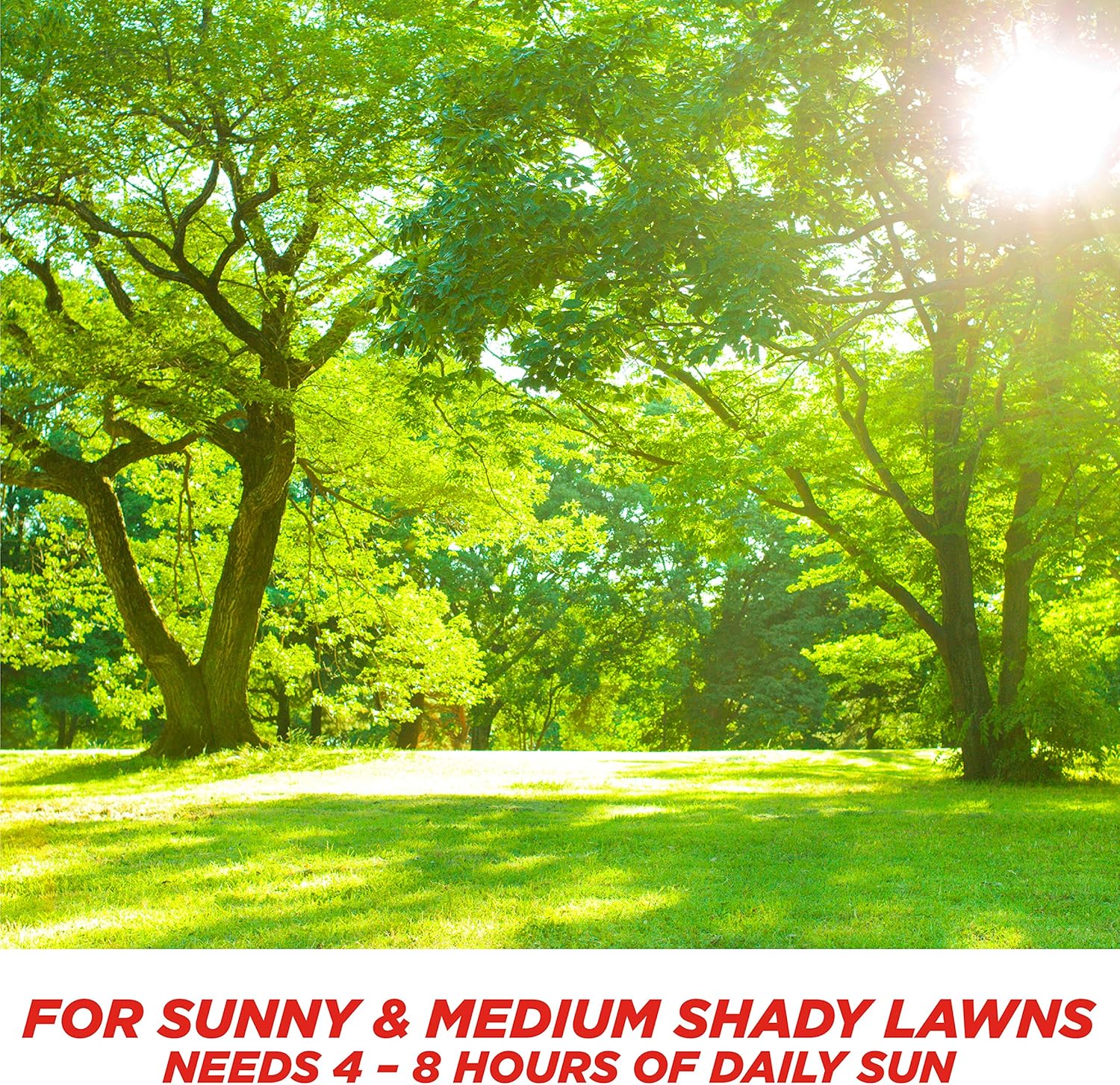 Sun and Shade Grass Seed, 20 LBS T830