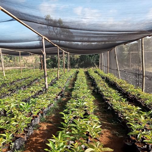 Shade Cloth for Plants, 6.5x20 ft, No Grommets, Sun Protection O489