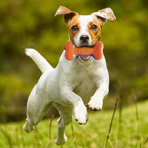 Squeak Bone Dog Toy - Blue/Orange Z549713