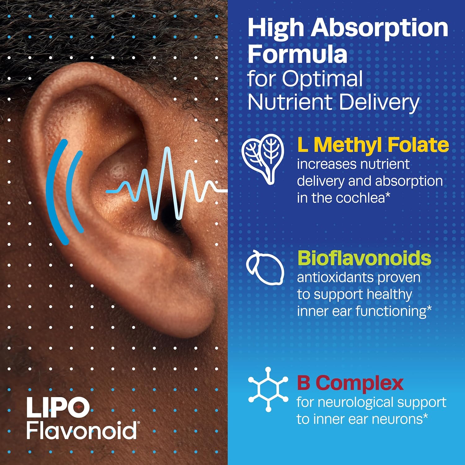Hearing Support Multivitamin with Vitamin B & Bioflavonoids, 40 Caplets M720100