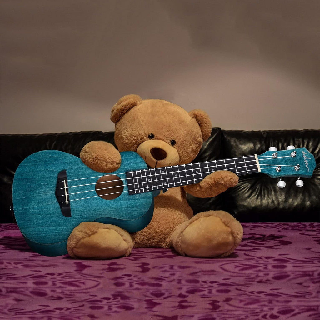 Concert Ukulele Beginner Kit 23 Inch Mahogany with Starter Lessons D732799