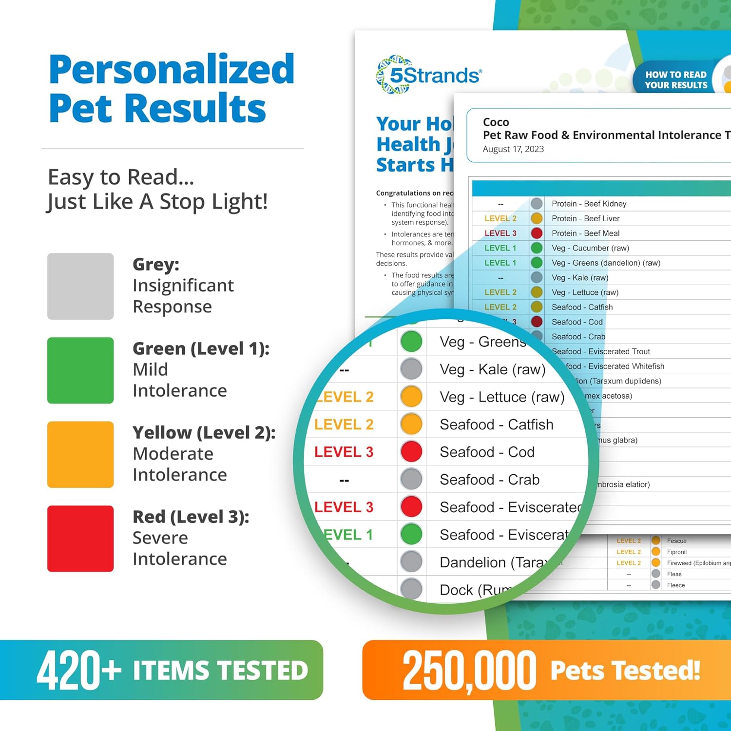 Pet Raw Food Intolerance & Environmental Sensitivity Test, At-Home Hair Sample Kit for Dogs & Cats O873651