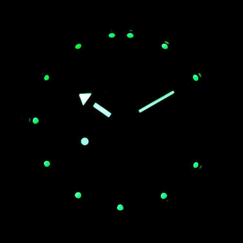 Automatic Wrist Watch V6574