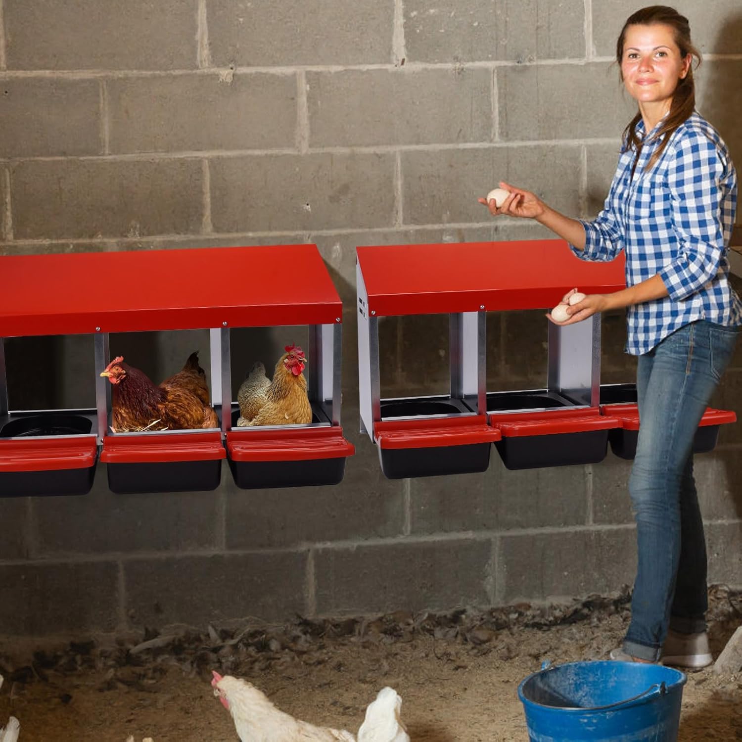 3 Compartment Metal Chicken Nesting Box with Lid Z414232