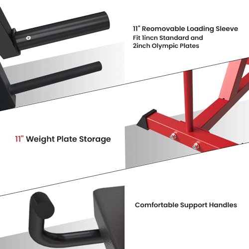 Leg Extension and Leg Curl Machine, Adjustable Plate Loaded Lower Body Exercise Bench S221324