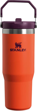 STANLEY IceFlow Flip Straw Water Bottle With Straw 0.89L - Keeps Cold For 12+ Hours - Leakproof - Stainless Steel Water Bottle - BPA-Free Travel Mug - Easy to Carry - Dishwasher Safe - Tigerlily Plum