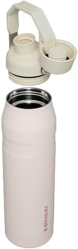 Insulated Stainless Steel Water Bottle with Angled Spout Lid F856247