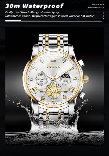 Men Skeleton Watch Stainless Steel Analog Quartz Moon Phase P9497