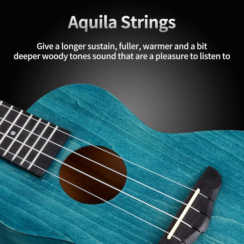 Concert Ukulele Beginner Kit 23 Inch Mahogany with Starter Lessons D732799
