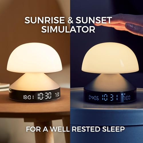 Sunrise Alarm Clock with Wake Up Light and Sunset Lamp D4313